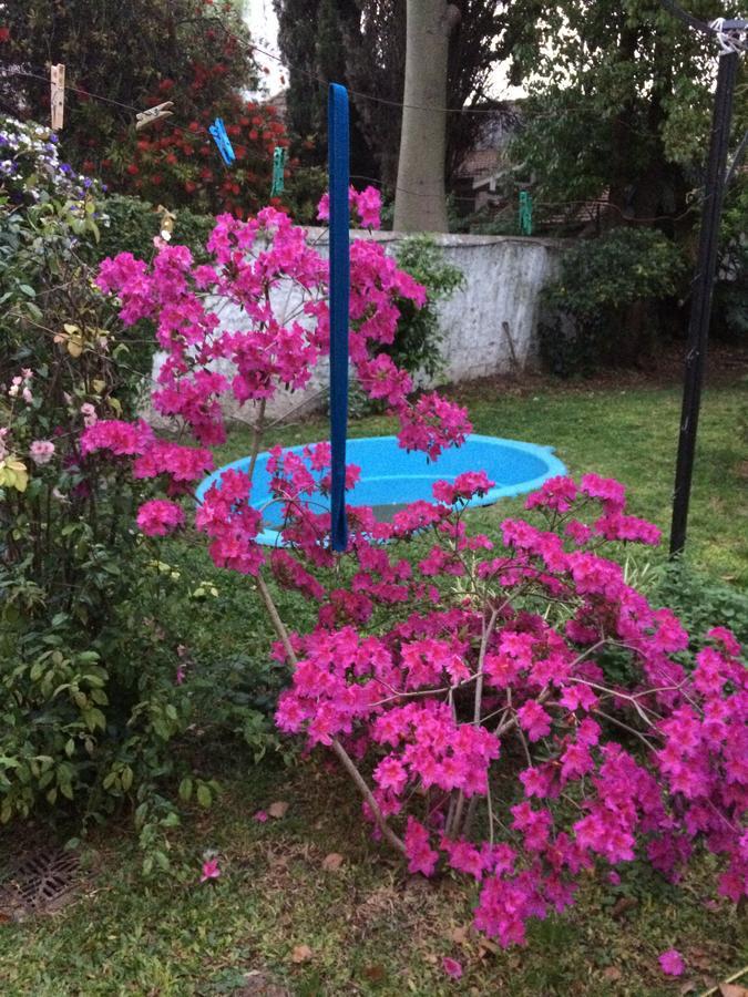 B&B Polo (Adults Only) Villa Maipu Екстер'єр фото