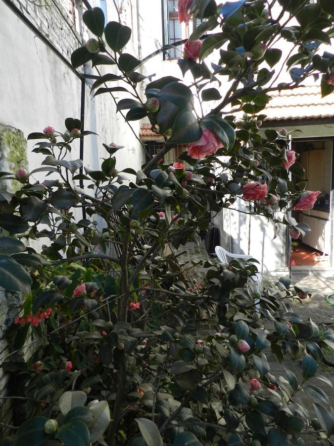 B&B Polo (Adults Only) Villa Maipu Екстер'єр фото